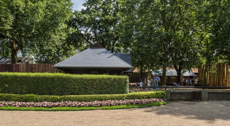 zoo d'Anvers rénovation du toit