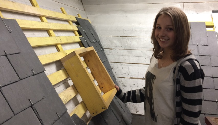 Laura Ledrun - ecole superieure de couverture d'angers