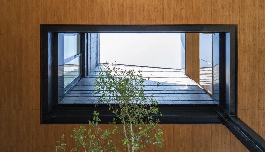 proyecto casa flotando entre arboles seh y cupa pizarras