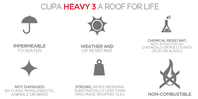 CUPA HEAVY 3