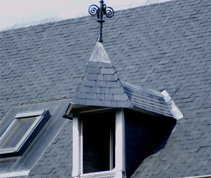 ecole-veterinaires-bruxelles