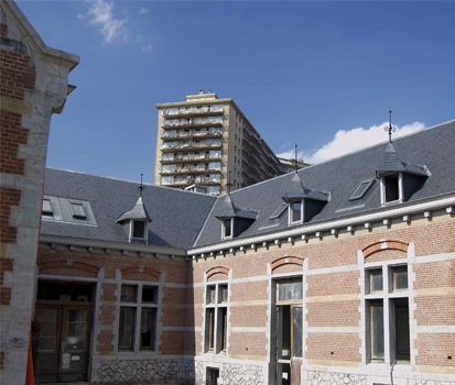 ecole-veterinaires-bruxelles