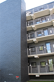 slate siding