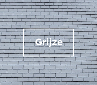 leien grijze