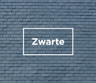 leien zwarte