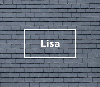 pizarra techado lisa