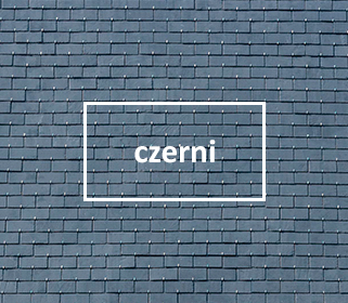 Łupek naturalny czerni