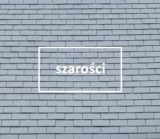 Łupek szarosci
