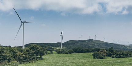 green-employment