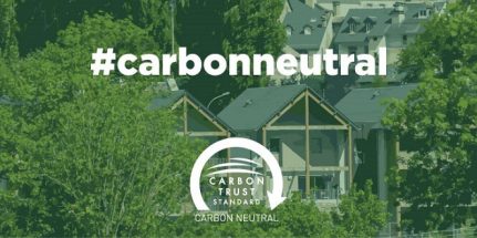 empresa neutra en carbono