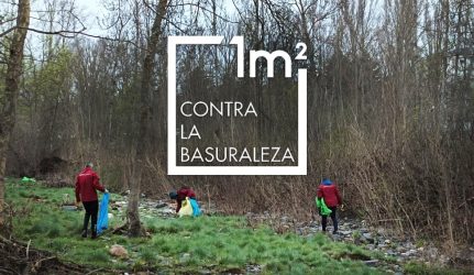 proyecto libera m2
